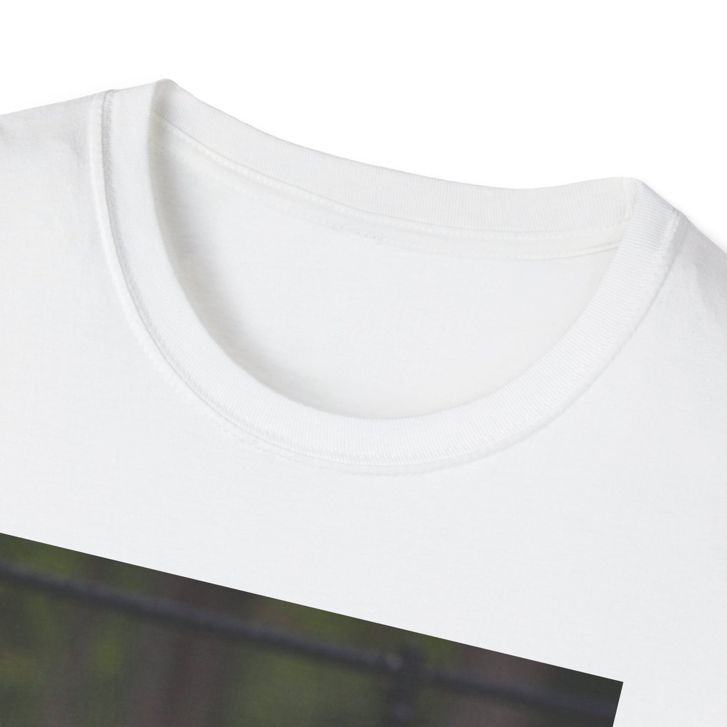 Hen vs Peacock Pickleball Beauty Match T-Shirt